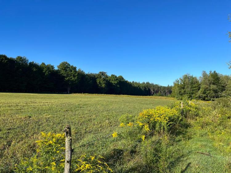 11 acre Buildable Country Land for Sale Russell NY