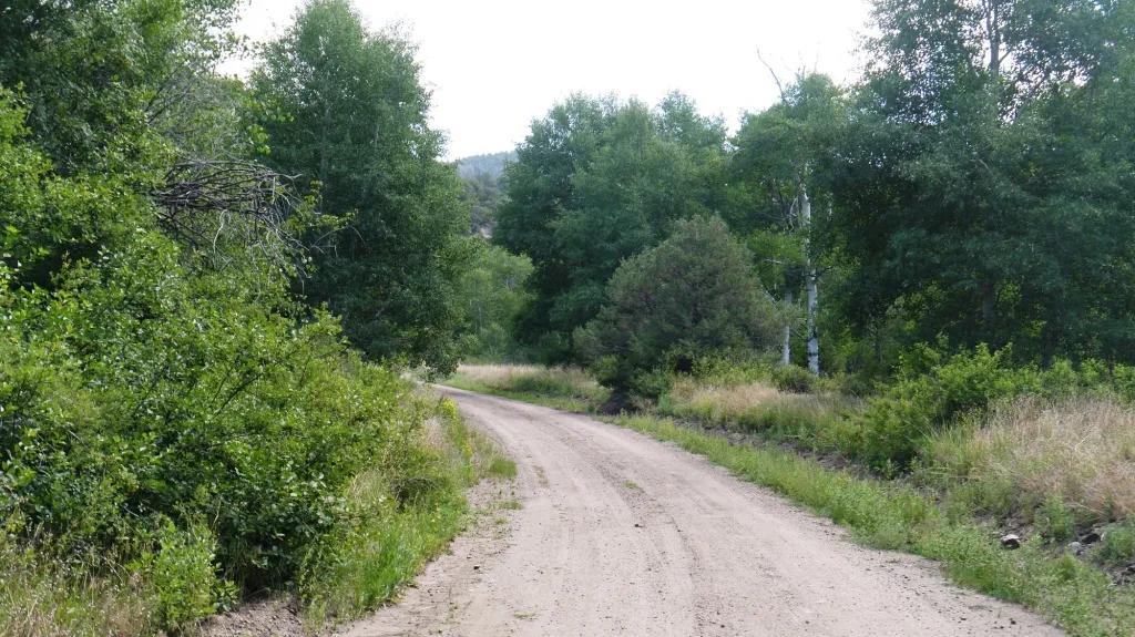 Trees - Meadows - Privacy on this almost 10 acre parcel