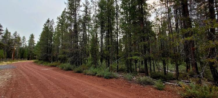 Surveyed One Acre Lot Near Crater Lake  - HWY 97 - Camping Permitted, Power
