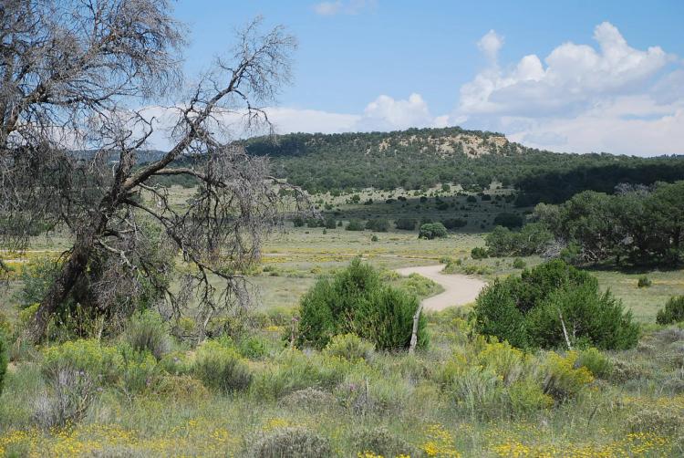 Wild Horse Ranch 10 Lots for Sale