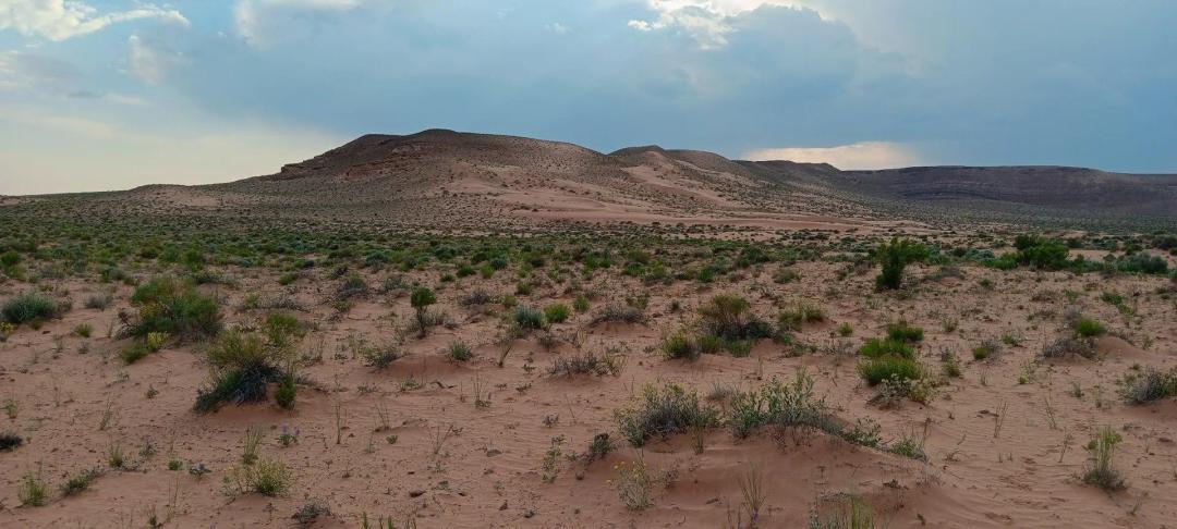 Emery County Open Range Land