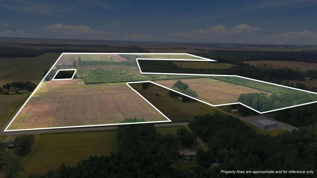 309-Acre Farm & Timberland for Sale in Beaufort County, NC
