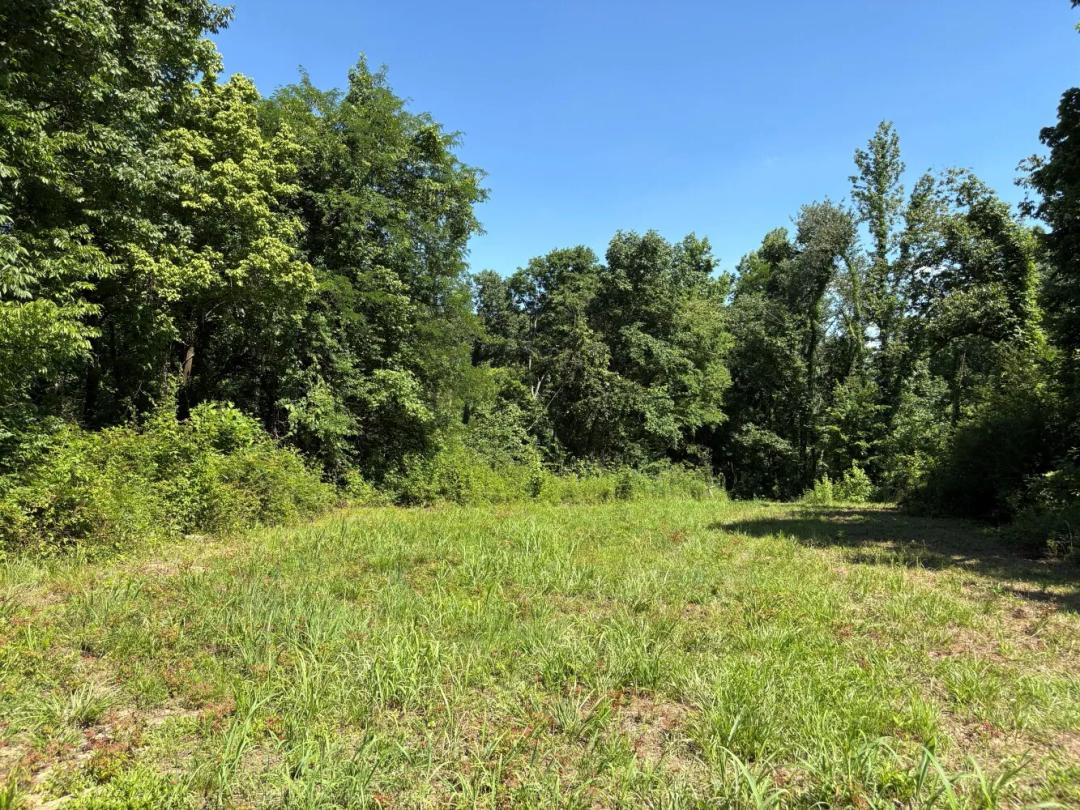 5.01 Acres at 0 Walsh Rd