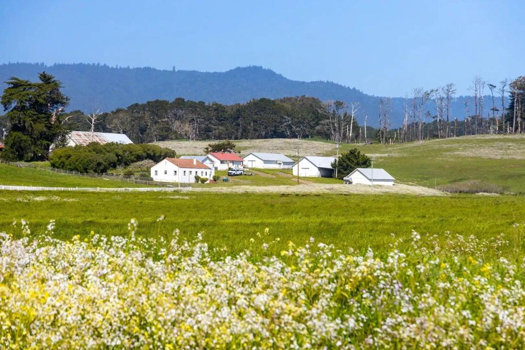 D&H Stornetta Ranch