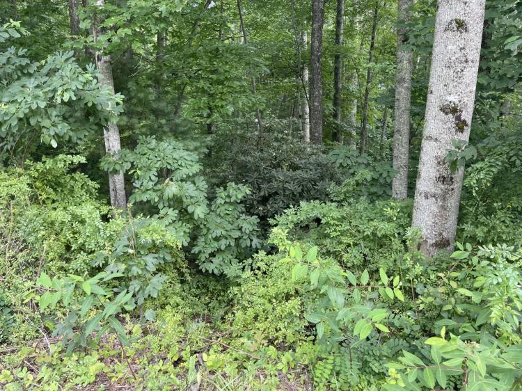  br,  bth, 0.99 Acres. Crab Orchard WV