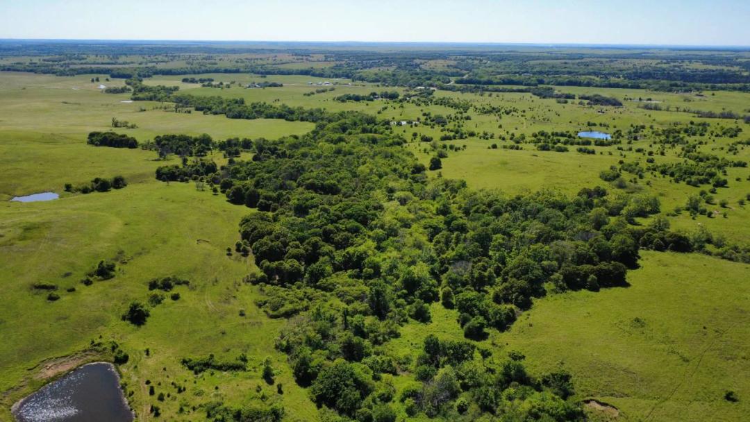 A Hunter's Dream - 464 Acres Bordering Premier Hunting Clubs
