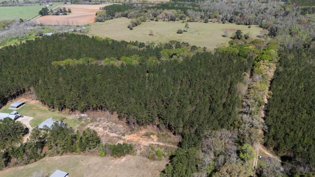 15.05± Acres of Planted Pine Timberland | Mitchell County, GA
