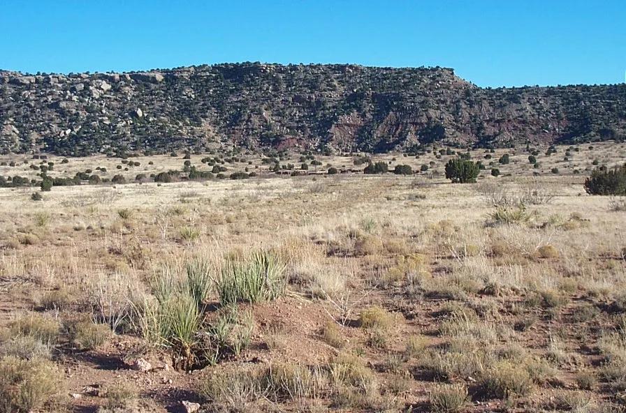 Scenic New Mexico land - Corner lot - Rancho Lake Conchas - Clear Days, Star filled nights