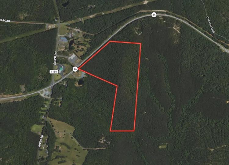 46.06 acres of Timber and Hunting Land For Sale in Montgomery County NC!