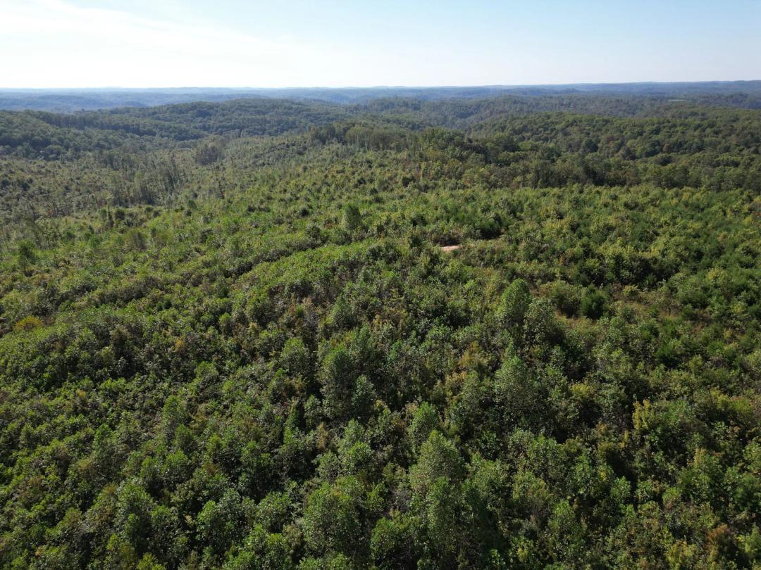 Wildcat Tract 110