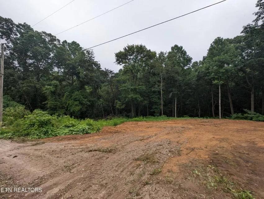 0.78 Acres at 248 N Norris St