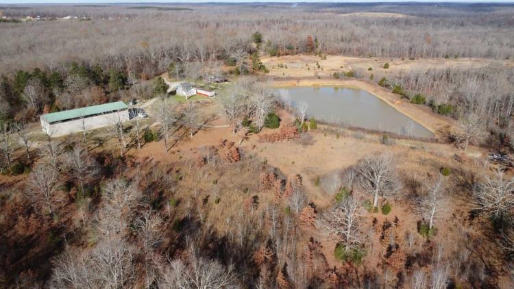 100 +/- acres adjoining National Forest with live water for sale in Butler County, MO