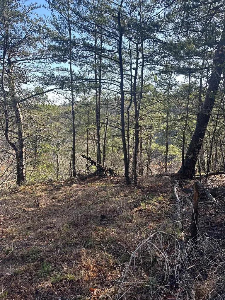 Lot 65 Panther Falls