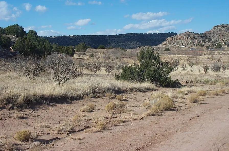 Off the Grid Scenic New Mexico land - Camp RV Build - Mobiles, Modulars allowed