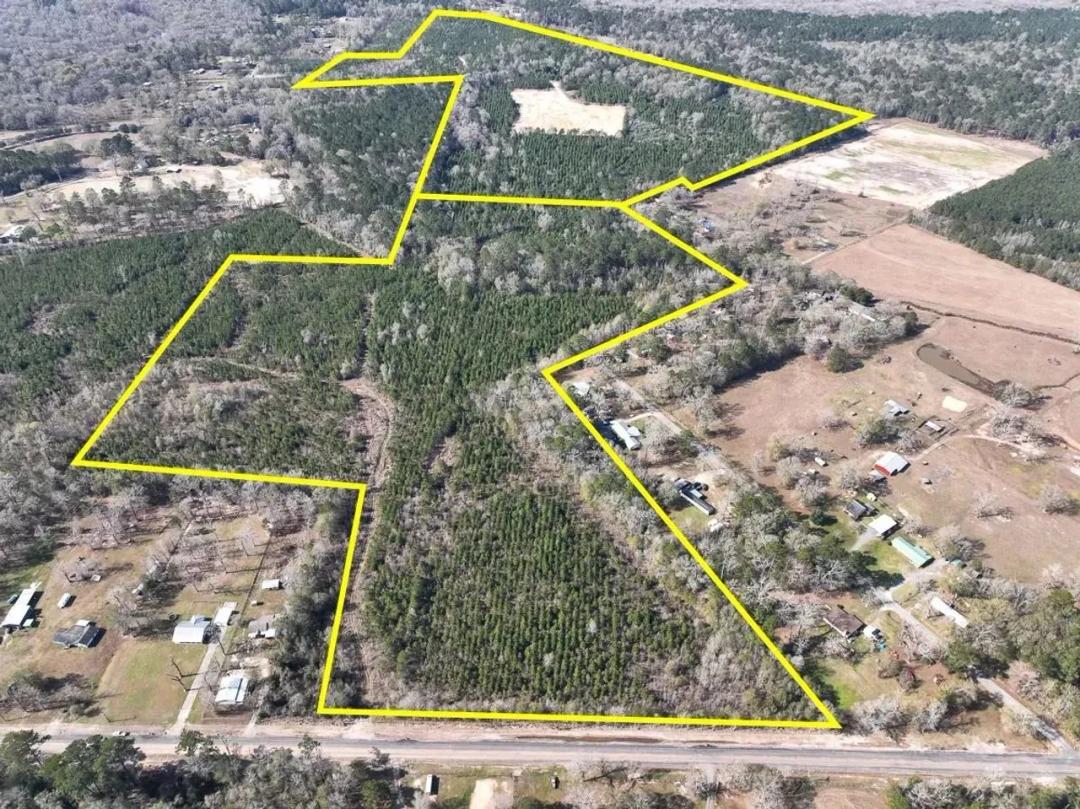 38 Acres | Hwy 1131 | 01541