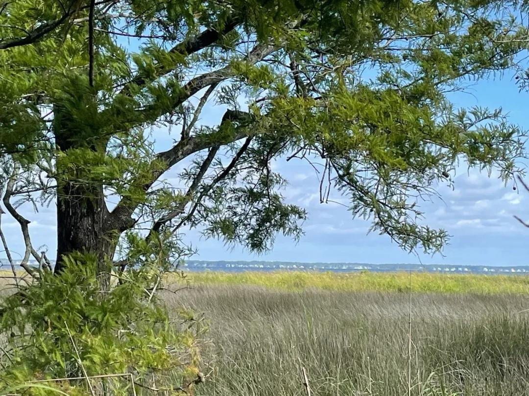 Waterfront Lot for Sale Beaufort NC