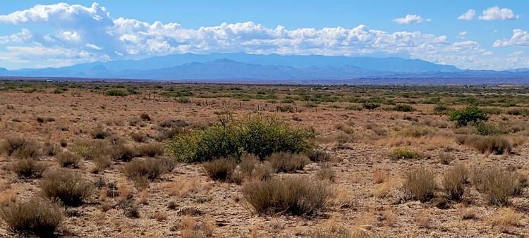 High Desert 1 acre with Dry Wash