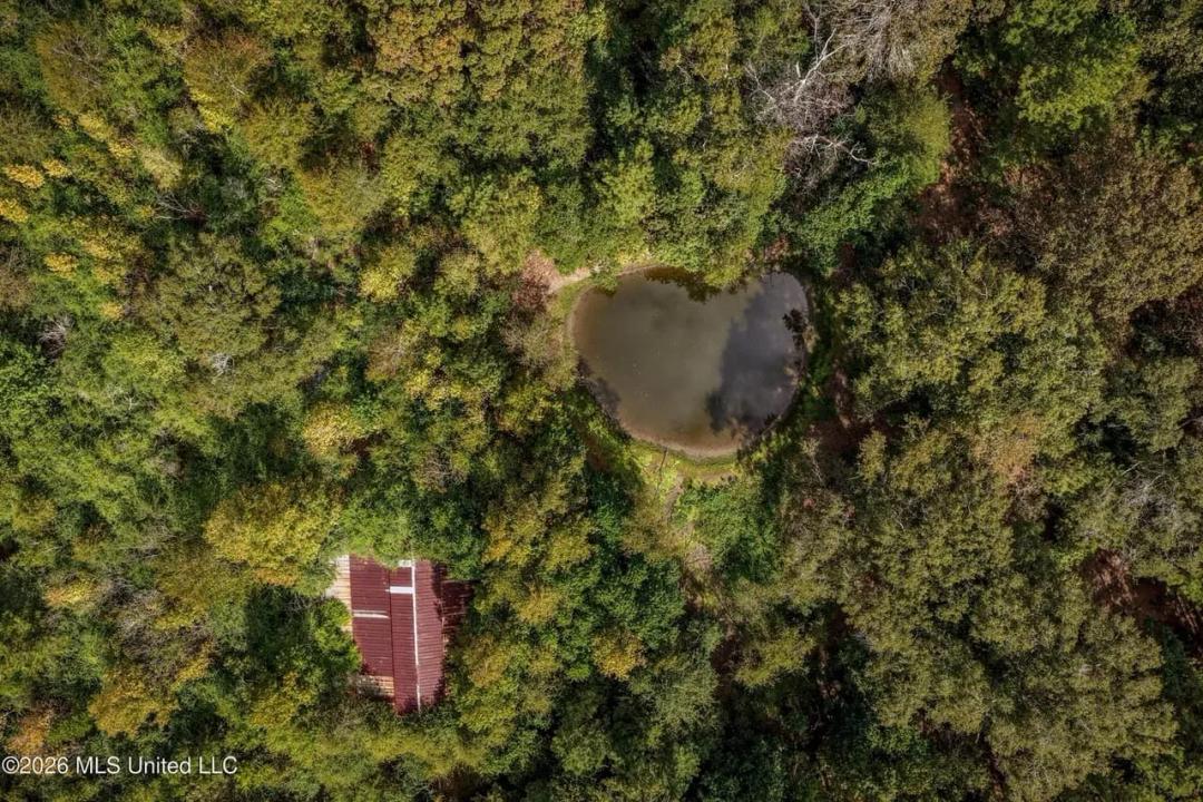 19.7+/- Acres of Wooded Land for Sale in Magnolia, MS