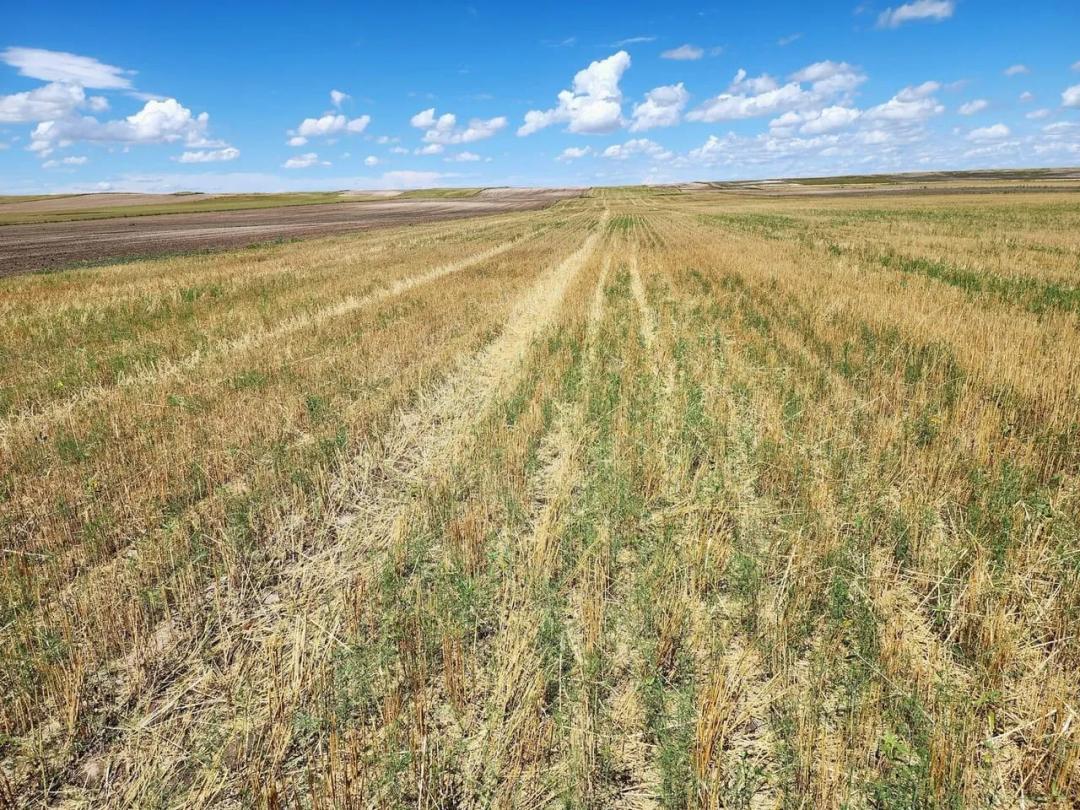 Half Section of Cropland Located Near I80 with Good Access