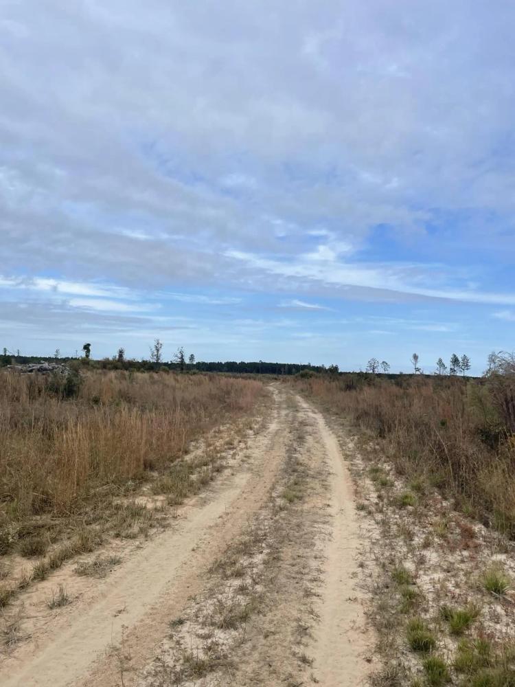 Reader Railroad Timber & Hunting Tract, 140 Acres+/-