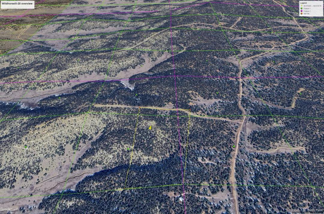 Wildhorse Ranch Western New Mexico Mountain land. Trees