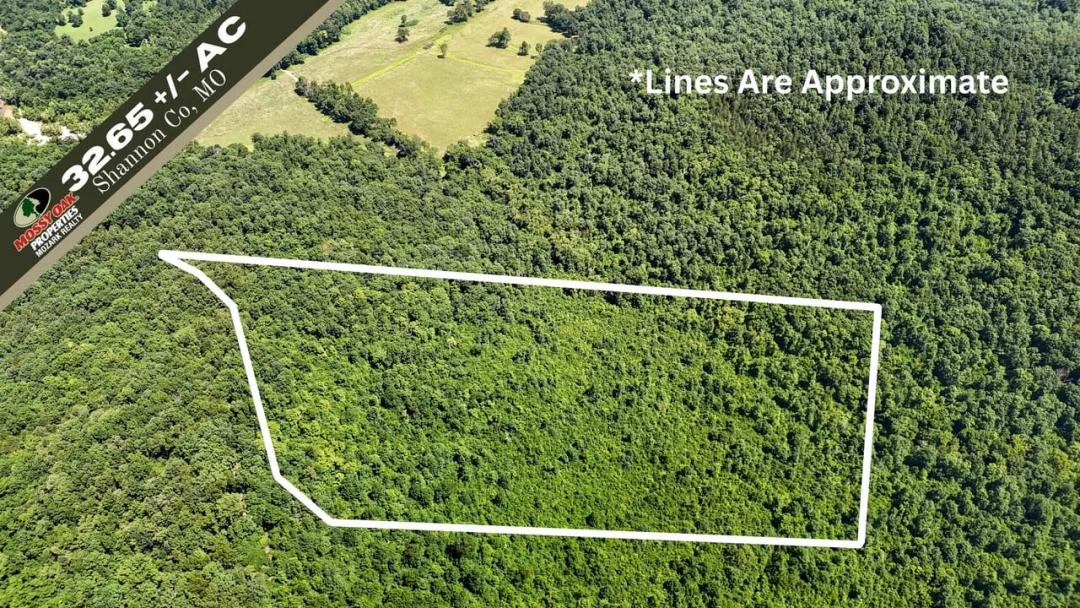 40± AC of Private rRcreational Land in Shannon Co.