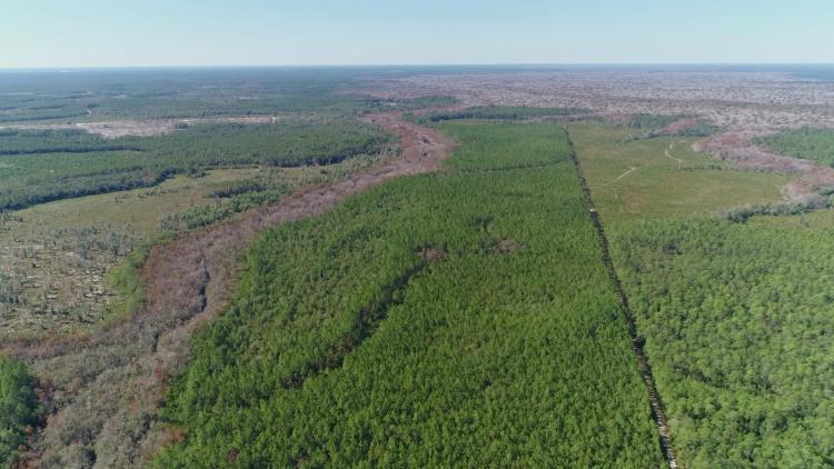 580 Acres of Recreation Land in Bay County, FL