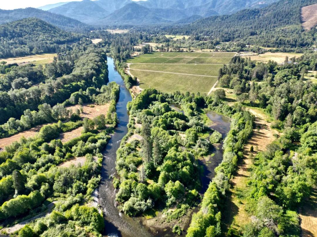 Pearl Vineyard on the Applegate River