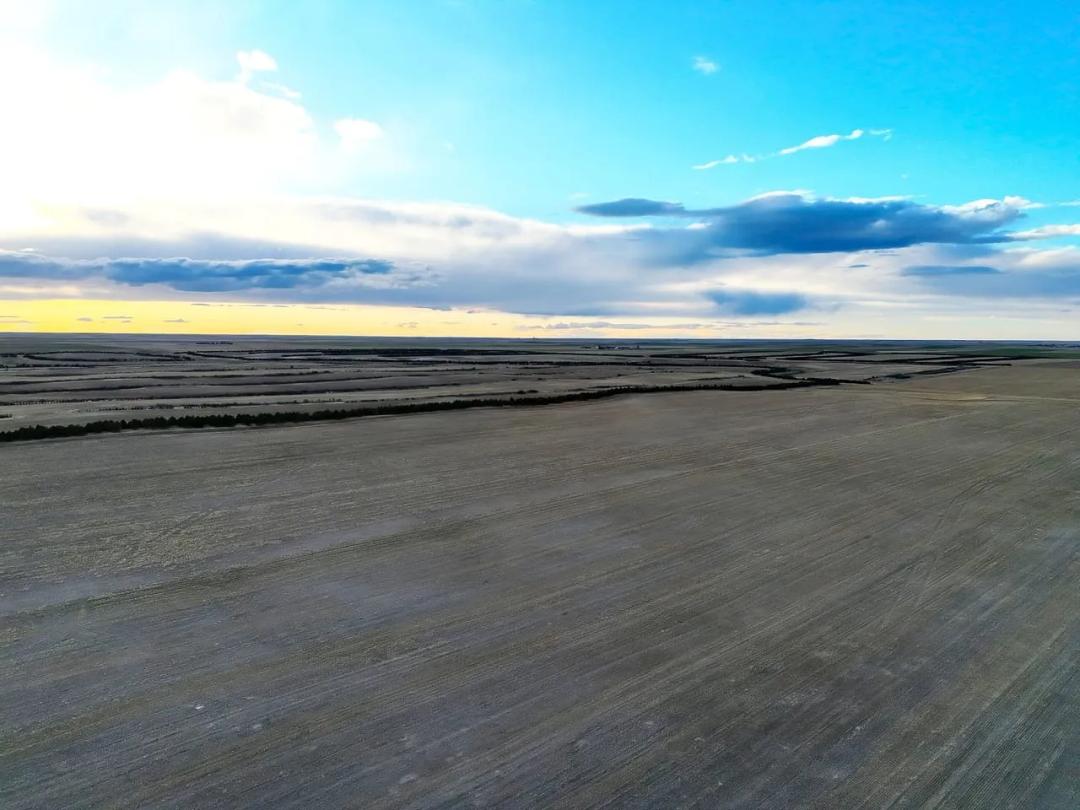 Quarter Section of Cropland with Recreational Opportunities