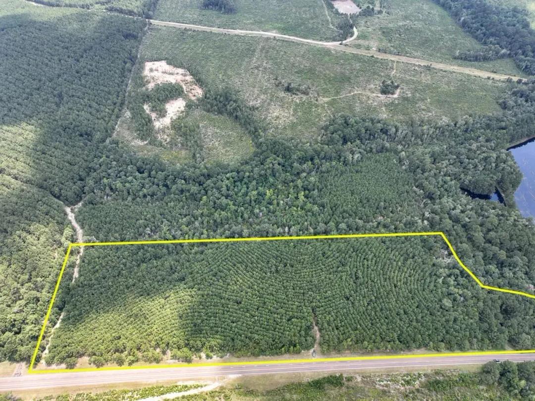 18 Acres | T-6 | Rec Road 255 | 287008-009