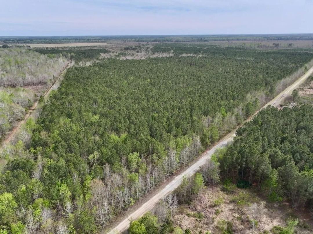 25+/- acres of Recreational Timber Land For Sale in Craven County NC!