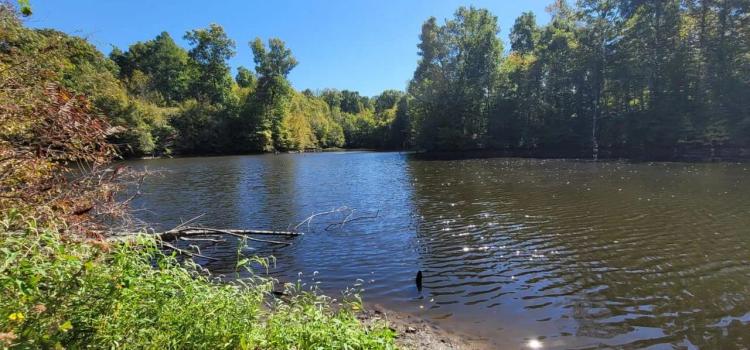 200 ac on the bluff with large lake and hardwoods and plots