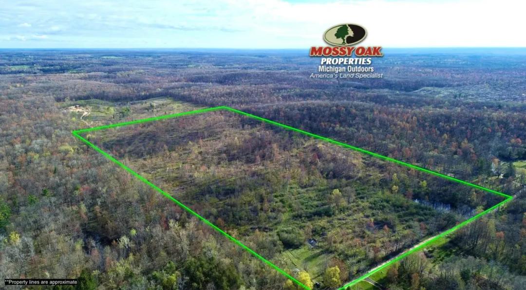 76 +/- Acres / White Could, MI / Newaygo County, MI / Recreational / Land For Sale
