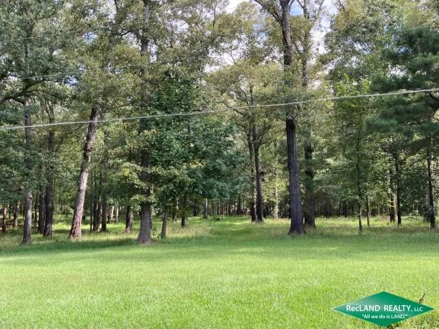 3.8 ac - Wooded Lot for a Home 