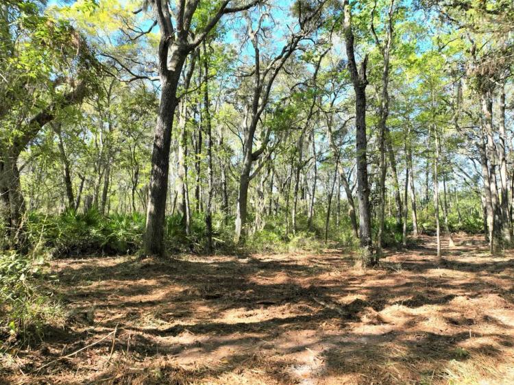 1+ Acre Land for Sale in Camden County, GA possible Owner Financing