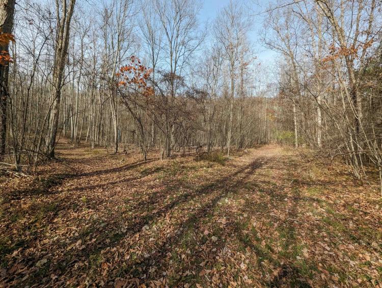 67 acres Hunting Land and Recreational Land in Campbell NY Wolf Run Road