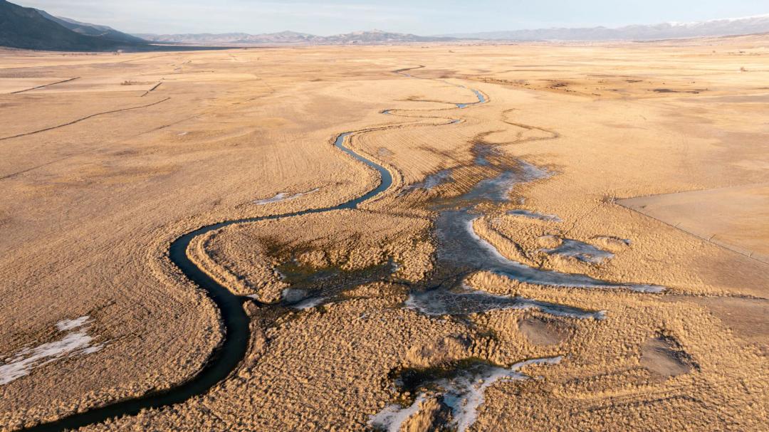 Diamond Investment Ranch