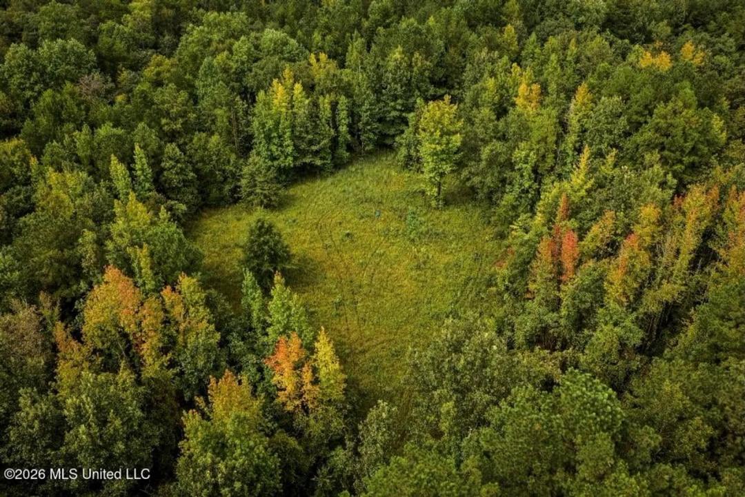 900 Acres for Sale - Hunter's Paradise South Mississippi