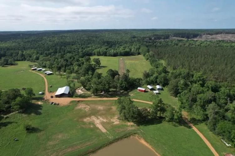 70 Acres in Marion County in Foxworth, MS 
