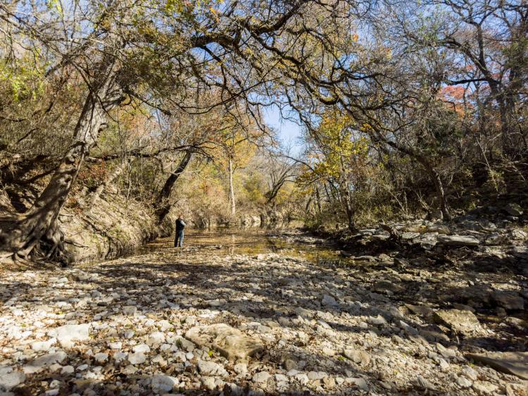 Rare 208-Acre Hunting and Agricultural Ranch on Plum Creek for Sale in Gatesville, TX