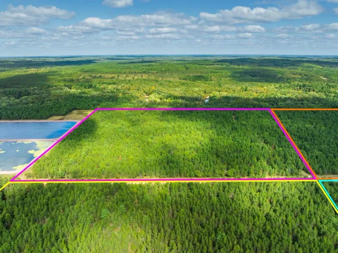 40± acres of timbered hunting and recreational land