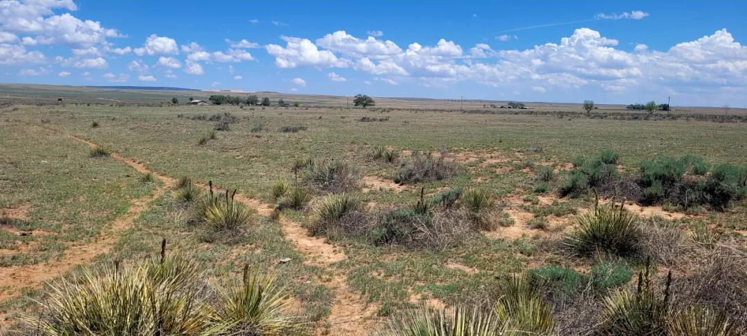 1 acre Residential Mobile Home Lot - EZ access to IH 40