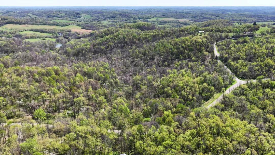 Belmont County Ohio Land for Sale 16 Acres | Road Access
