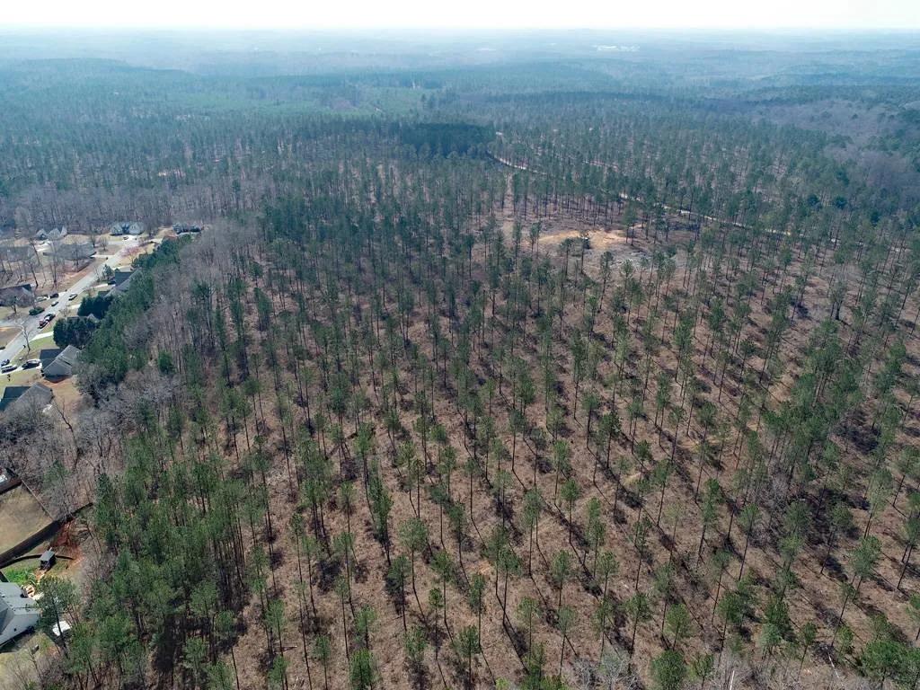 585 acre River property with development potential