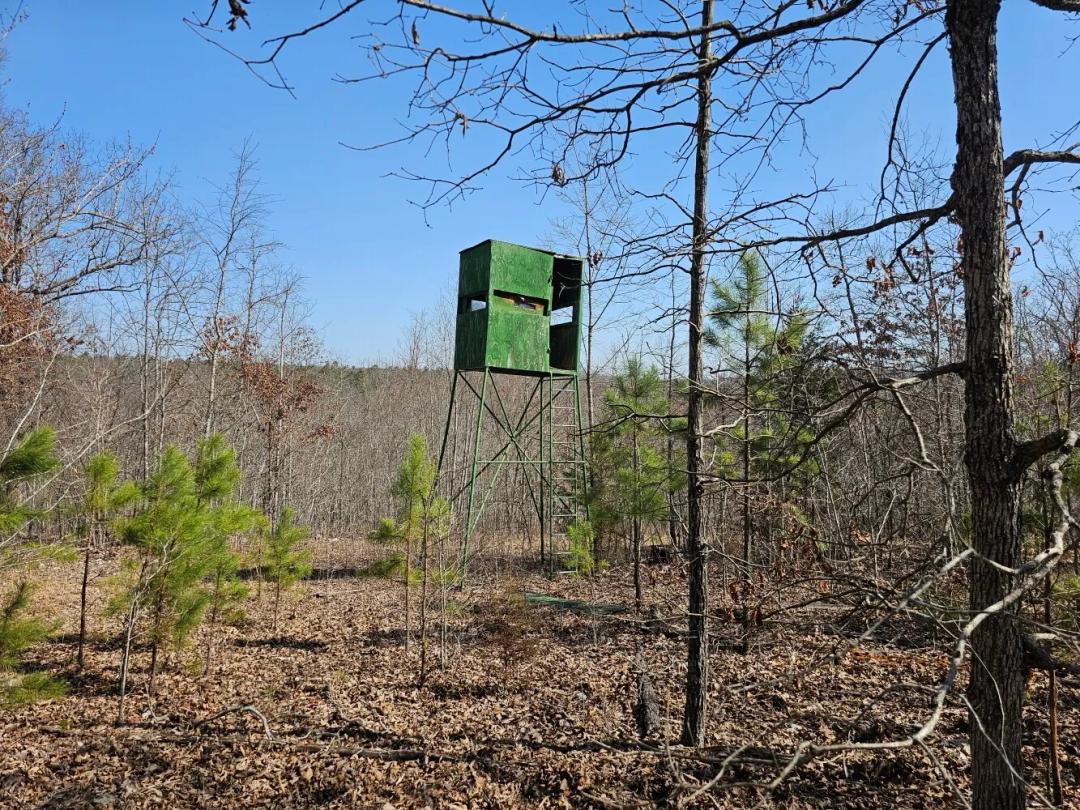 60.00 Acres at 010 Tomahawk Slab Road