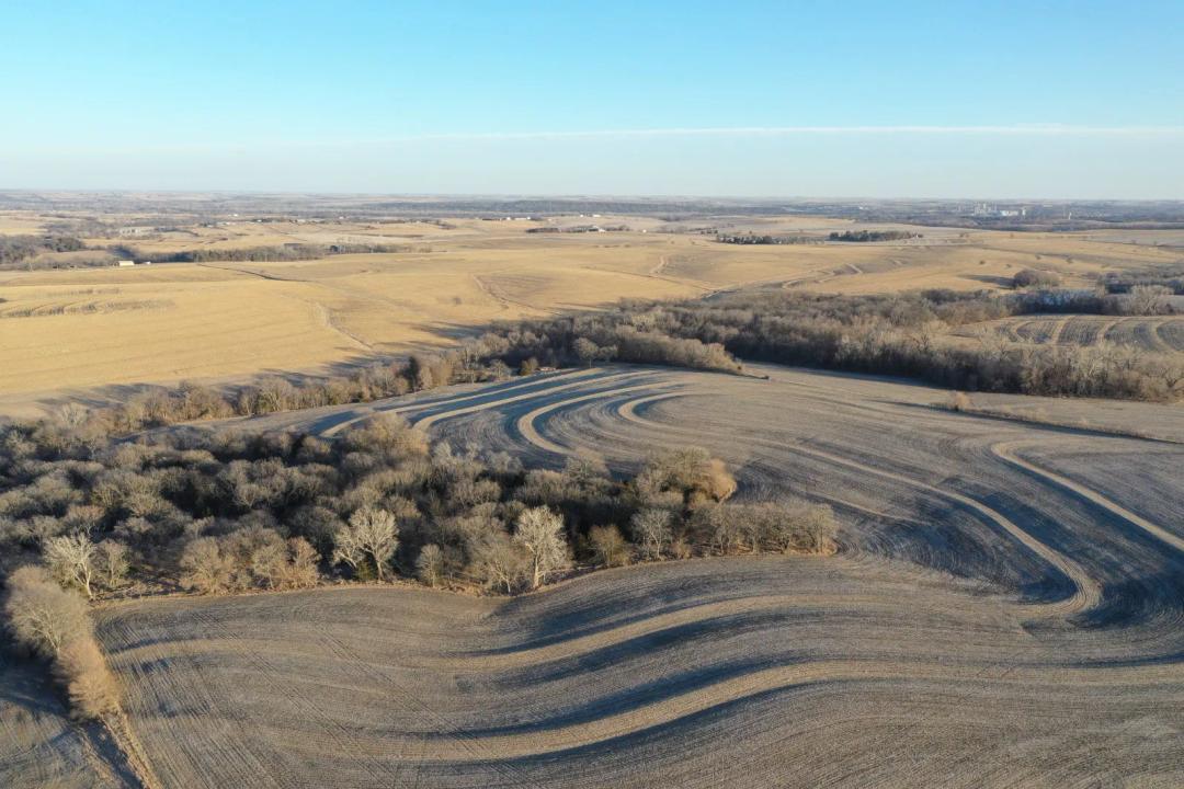 Sarpy County Land | 38 ± Acres