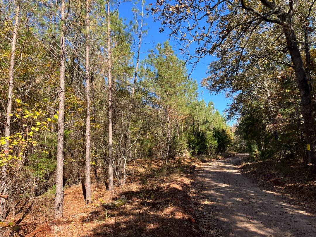 Drake Tract 1