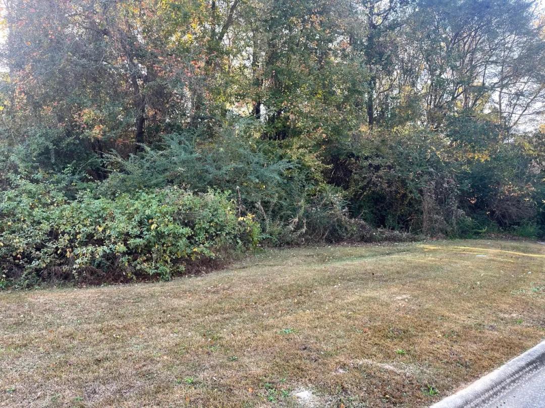 0.68 Acres at Morgan Drive