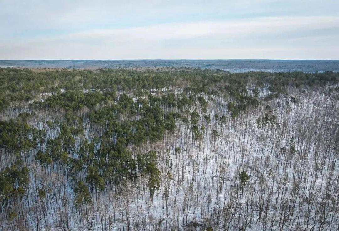 Barnett Hollow
