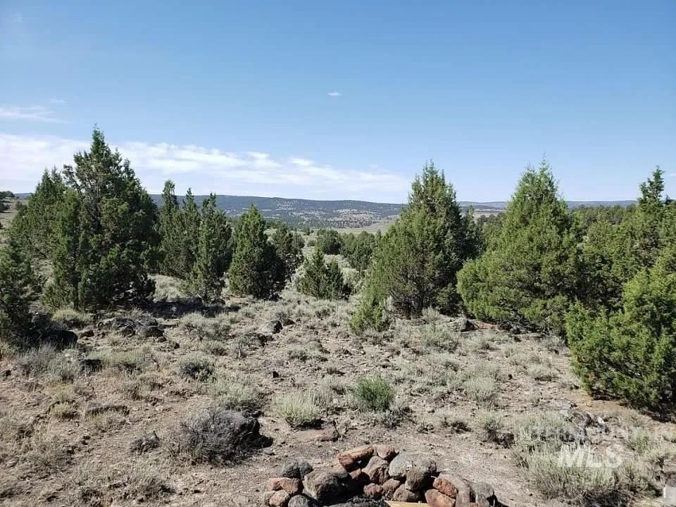 Triangle Recreation Lot
